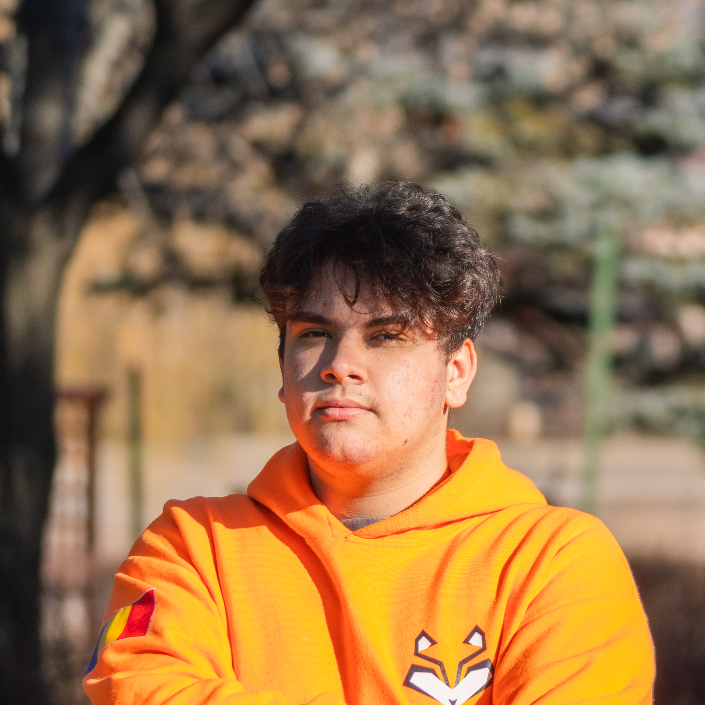 Member Image of Victor Gabriel Anghel